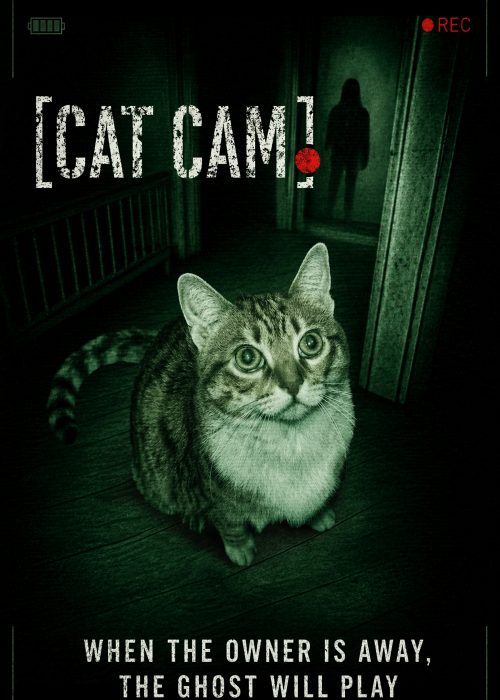 Cat_Cam_2x3 - 2000x3000